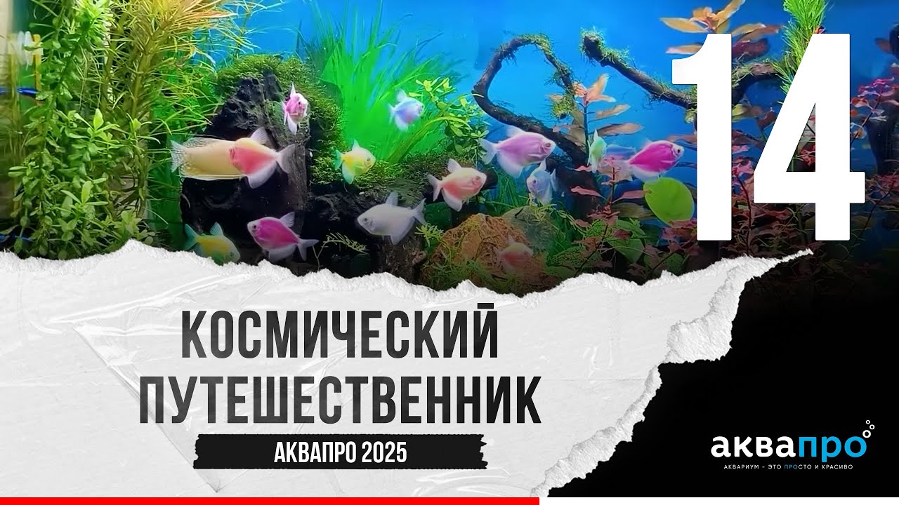 14. Космический путешественник. 