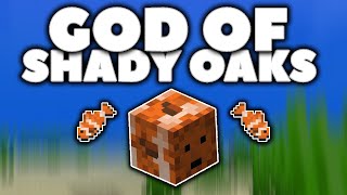 The Real God of Shady Oaks (Shady Oaks SMP)