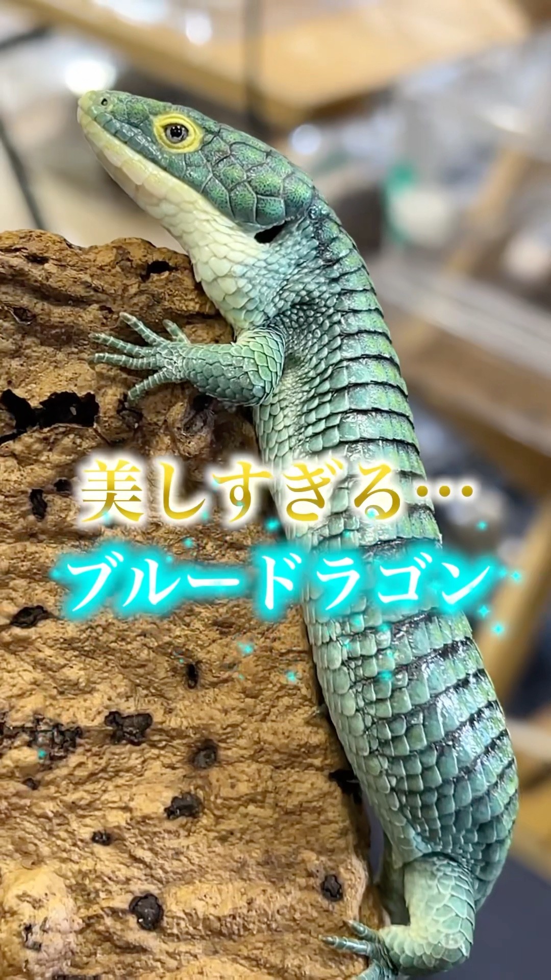 A beautiful blue dragon! - YouTube