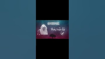 #الله #اكسبلور #المصحف #سوره_النساء #ياسر_الدوسري #allah #راحة_نفسية #yasseraldossary #تلاوة_خاشعة