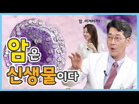 암은 신생물이다! 몸 속 세포는 왜 암으로 변할까? | 건강톡톡 EP.215