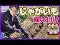 【じゃがいも】メークインとキタアカリ植え付け／溝施肥　ジャガイモ栽培／じゃがいも栽培／じゃがいも植え付け　マロ夫とマロの楽しい家庭菜園／貸し農園　家庭菜園