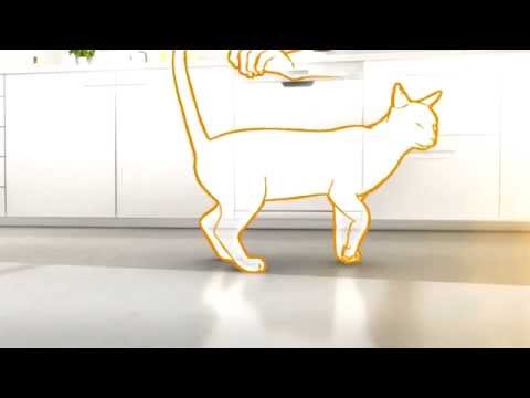 Video: Jak Se Vypořádat S Agresí Koček