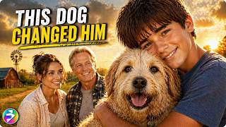This Dog Was Supposed to Be Temporary… He Changed Everything | Full Movie