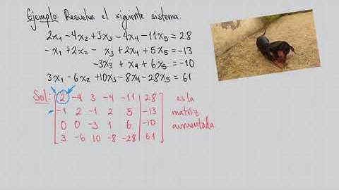 Proceso de reducción de Gauss-Jordan