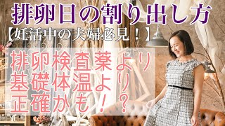 【妊活中のおりもので！？】排卵日の割り出し方　不妊治療→妊娠＆出産した経験者が語る実体験ブログ（妊活Vlog）排卵検査薬より基礎体温より正確！？スピリチュアル妊活　野田サユリ