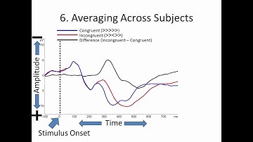 An introduction to EEG analysis: event-related potentials