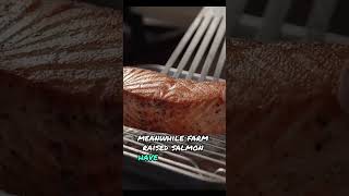 Did you know salmon is dyed pink.