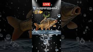 #carpfishing 🔴LIVE con Giampy