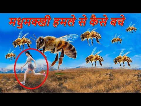 मधुमक्खी हमले के दौरान खुद को कैसे बचाए ?
