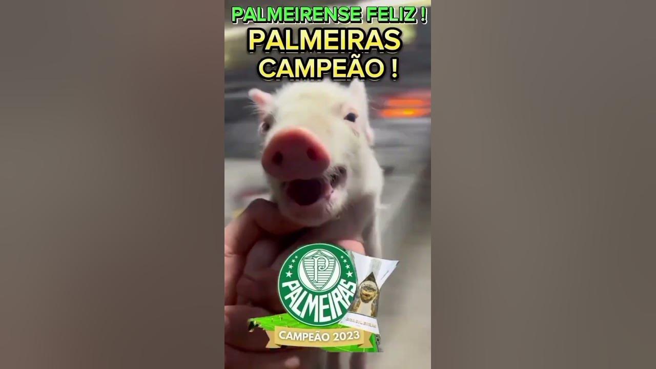 Os Palmeiristas on X: @PE_Lira @pomerense É do Palmeiras mano
