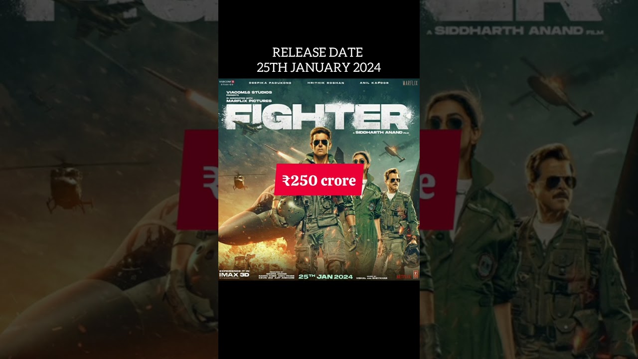 what is the budget of fighter movie? 