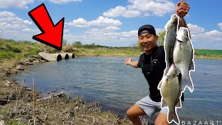 Spillway Fishing For GIANT White Bass! (CATCH CLEAN COOK)