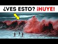 Esta agua del océano es más peligrosa que el ácido sulfúrico