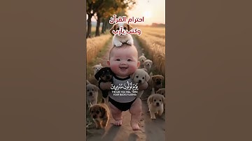 تلاوة القرآن الكريم بصوت جميل #قرآن #قران_كريم #قران #المصحف