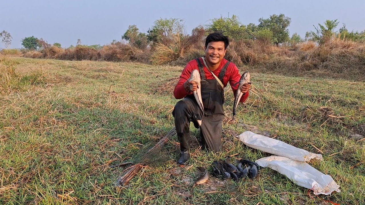 ปักเบ็ดนอนคืน หน้าแล้ง เหยื่อแมลงจีซอล  ปลาช่อนใหญ่ เกือบ10โล