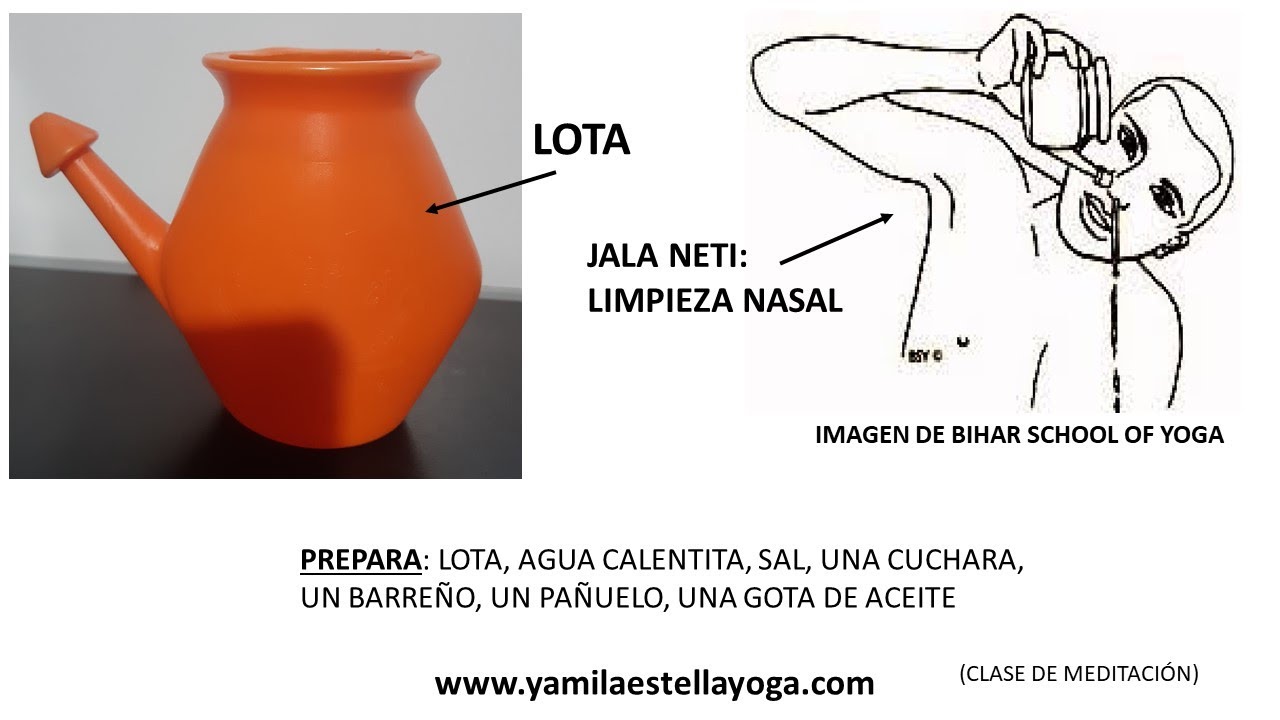 Lota nasal o Neti Pot