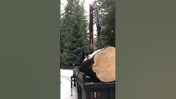 Big Load Of Carving Logs