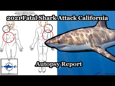 California Fatal Great White Shark Attack Report