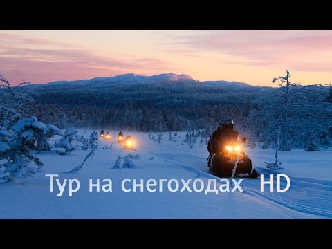 турфирма аккорд тур