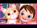 𝑵𝑬𝑾 Kitty Cat Melodies|Baby Shark Song @Coco Cartoon Nursery Rhymes|Nursery Rhymes &amp; Kids Songs #111