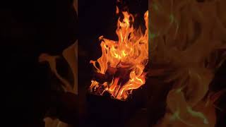 Kanatları Yanık Bir Ankayım..