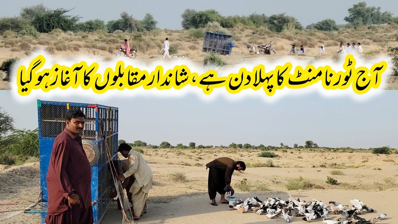 Today marks the first day of the tournament, and the thrilling competitions have just begun