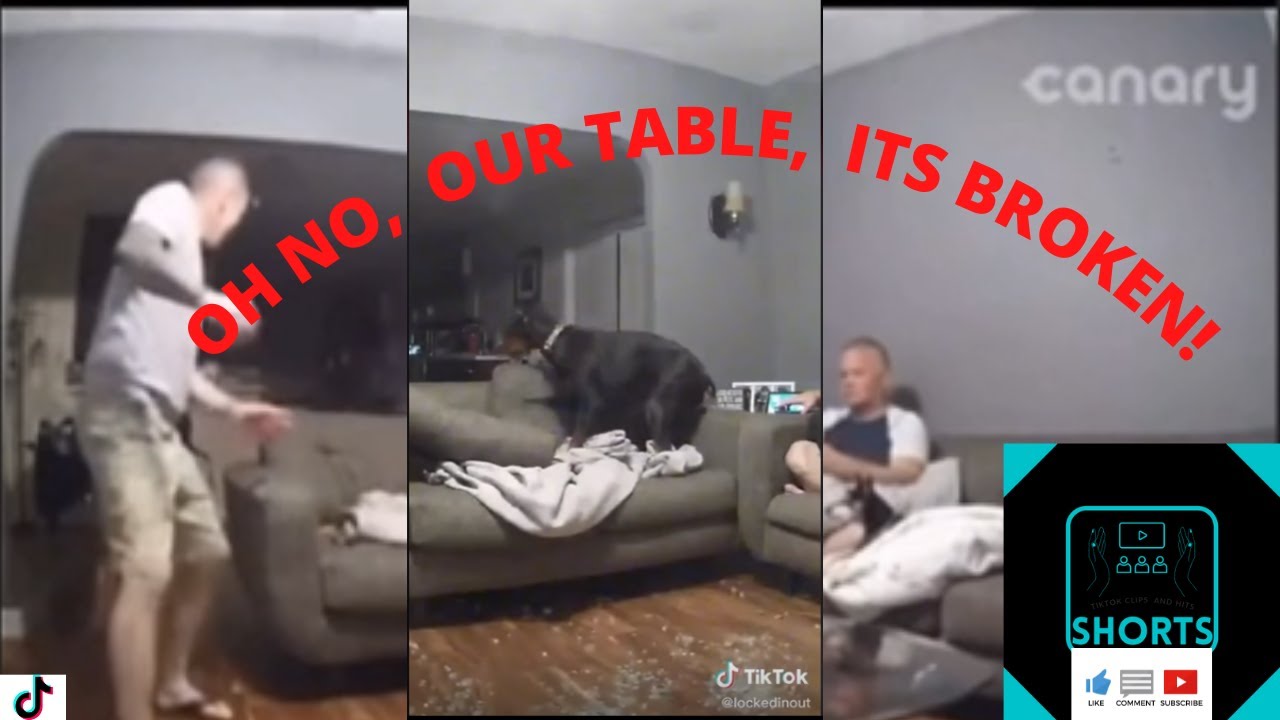 медиатор dandrea rd358-114. Broken tik. Broken tik. Broken tik. медиаторы dunlop 4740.