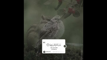 سورة الحجر ـ القارئ هزاع البلوشي| #هزاع_البلوشي #قران_الكريم #تبصرة #قرآن #سورة_الحجر #تلاوات #quran
