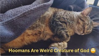 My Hoomans Record me on Camera,While I'm Asleep 🙄 Funny Cat Videos will Make you Laugh 🤣 Watch Full by Namira Taneem 🇨🇦 115 views 1 month ago 24 minutes