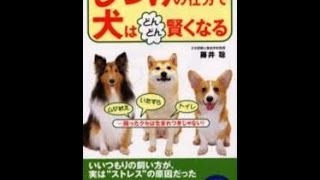 しつけの仕方でどんどん犬は賢くなる　カリスマ訓練士　藤井聡先生　犬ペット理解編⑦