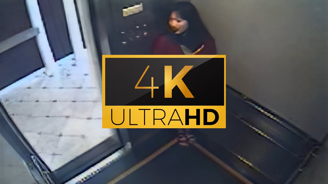 Download Elisa Lam 4K Elevator Video