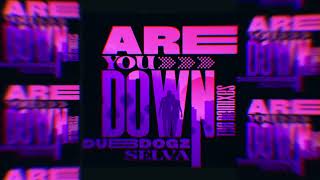 Dubdogz & Selva - Are You Down (Gustavo Mota, Evoxx Remix)