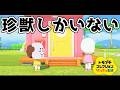 【新作トモコレ】キャラクリ出来なくて珍獣しか来ない。