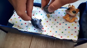 Çılgın aile (1.bölüm)
