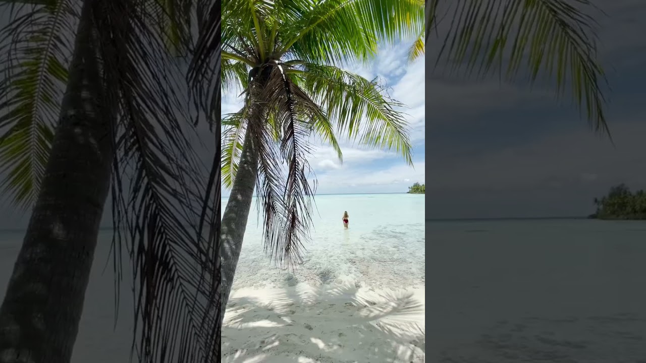 A day in paradise anyone? #tahiti #shorts
