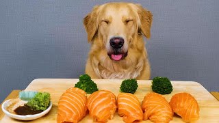 ASMR My Dog Reviewing Giant Salmon Sushi Mukbang Real Sound