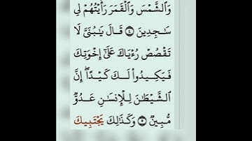 #سورة_يوسف #قران_كريم #قرآن #آيات