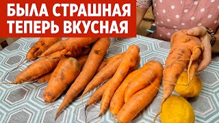 КОНФЕТЫ ИЗ МОРКОВКИ НАТУРАЛЬНЫЕ ВИТАМИНЫ СВОИМИ РУКАМИ цукаты морковные /кулинария@obovsemsmarusya