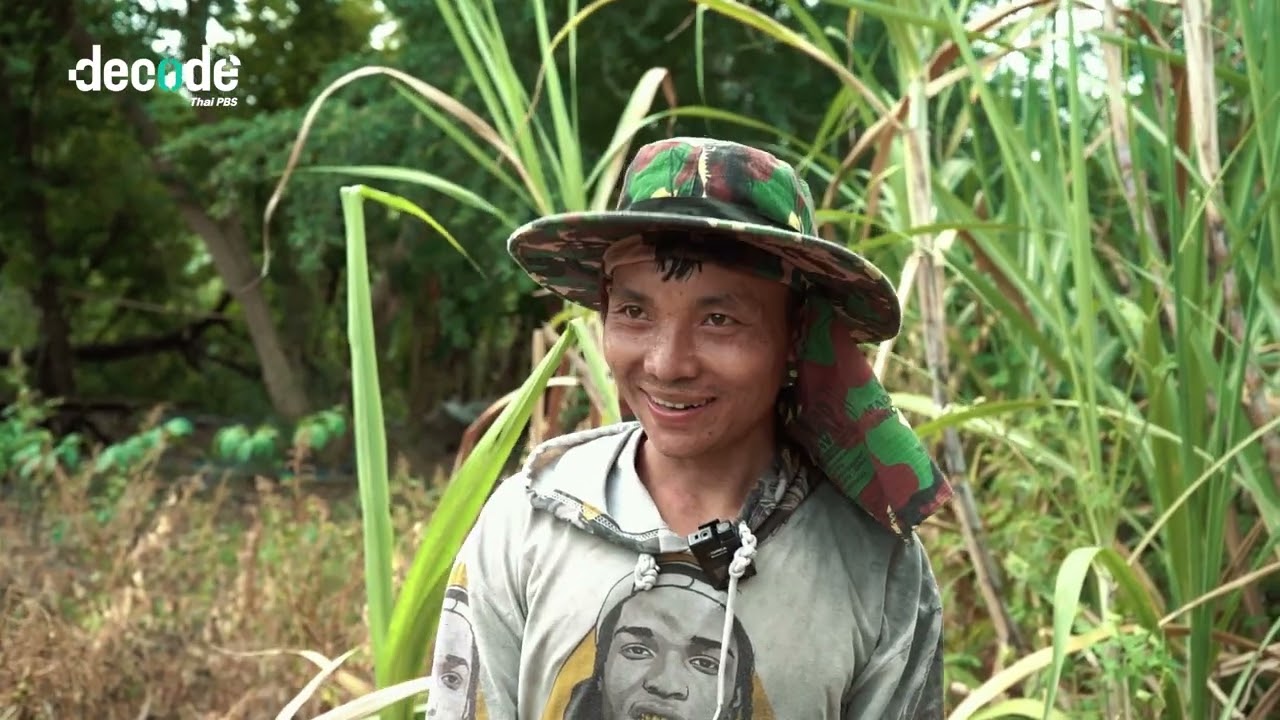 อ้อยรสขม