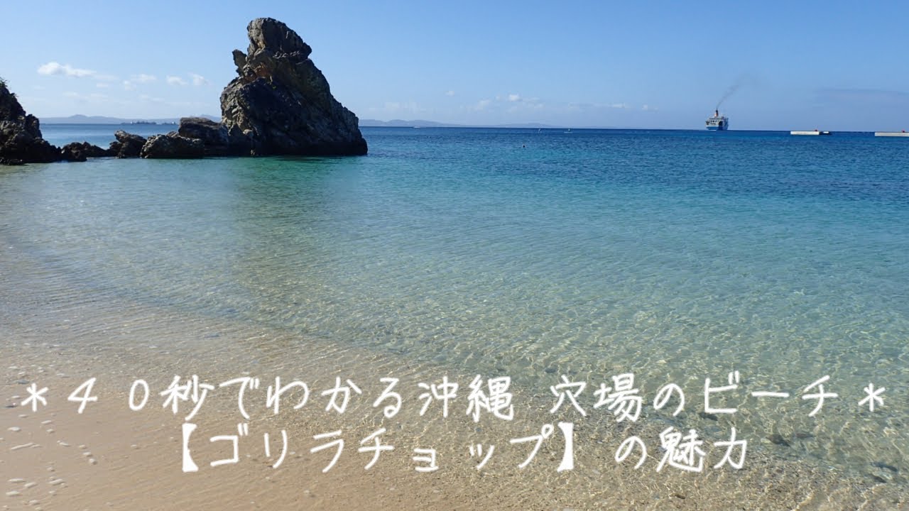 ゴリラチョップ 2ビーチ ファンダイビング | 沖縄 恩納村のダイビング