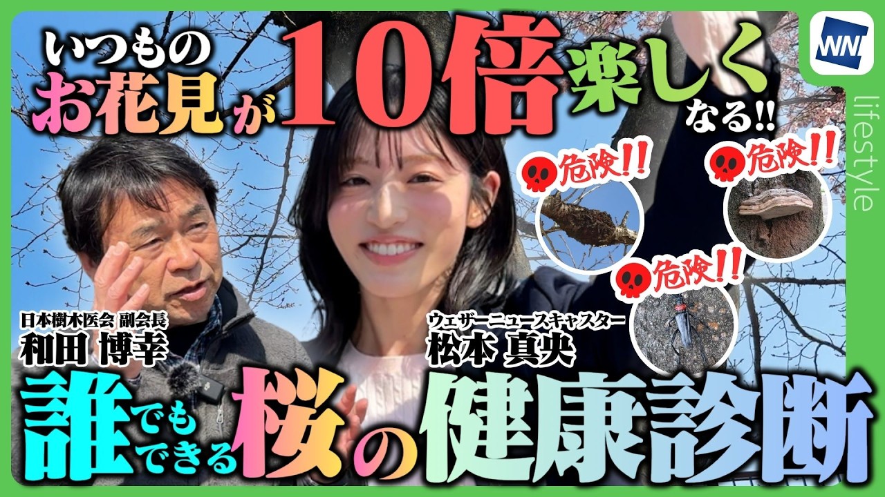 【LIVE】 最新気象情報　ウェザーニュースLiVE