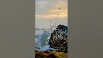 بحر العشاق 