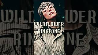 Download Lagu Wildflower ringtone #billieeilish #viral#fypyoutube #fyp #onthisday #popstar MP3 Download Lagu Wildflower ringtone #billieeilish #viral#fypyoutube #fyp #onthisday #popstar MP3