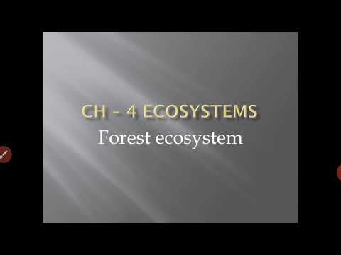 Biology| Ecosystems |Forest Ecosystem|Class 8th|ICSE