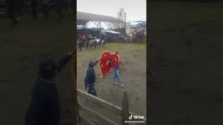 toros en  San Juan  de trigoloma