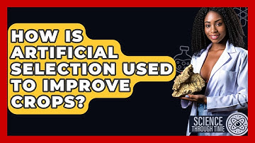 How Is Artificial Selection Used To Improve Crops? - Science Through Time