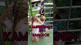 Familienurlaub in Thailand Bangkok Hahnenkampf Training Sightseeing mit Kinder backpacking
