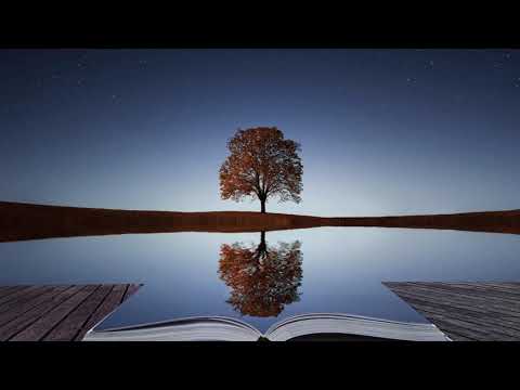 Faran Ensemble Reflection Matija S Voyage To Faraway Lands Homage