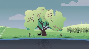 Phytech Onboarding #6  Manual Irrigation Scheduling